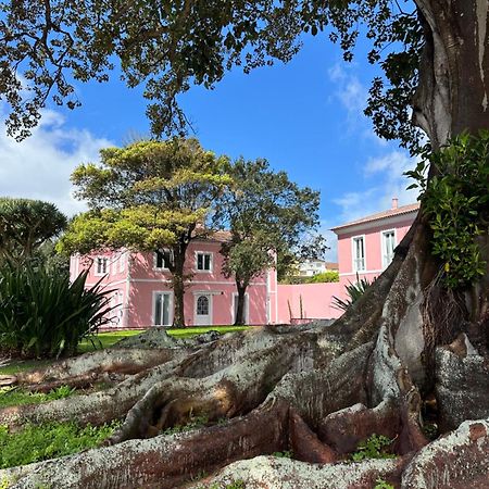 Solar Dos Cantos Botanic House & Garden Ponta Delgada  Exterior photo