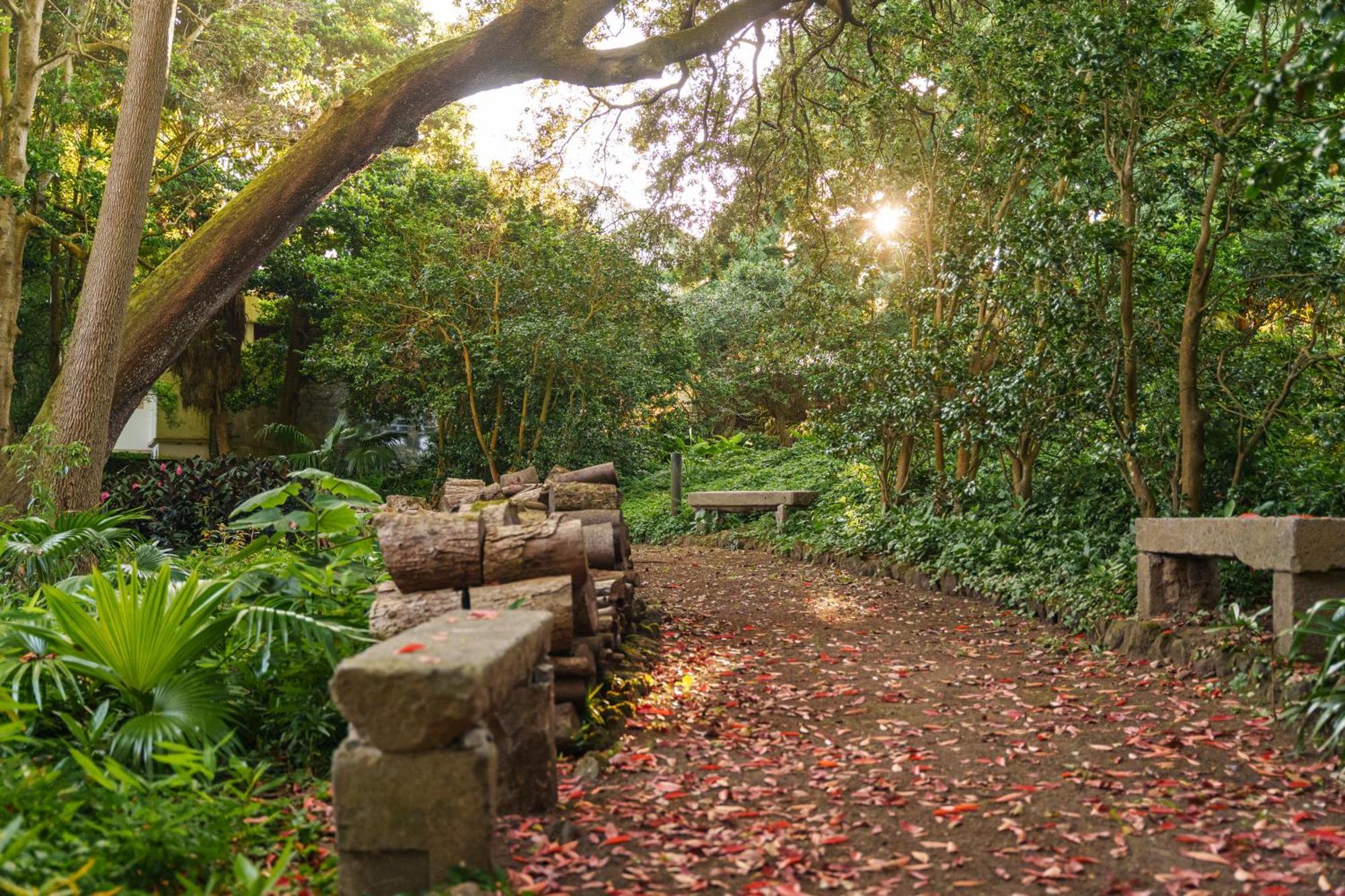 Solar Dos Cantos Botanic House & Garden Ponta Delgada  Exterior photo